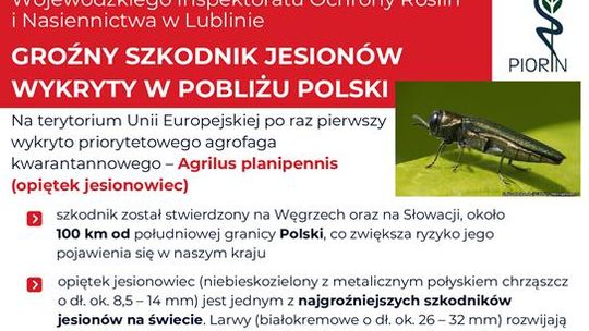 KOMUNIKAT Wojewódzkiego Inspektoratu Ochrony Roślin i Nasiennictwa w Lublinie