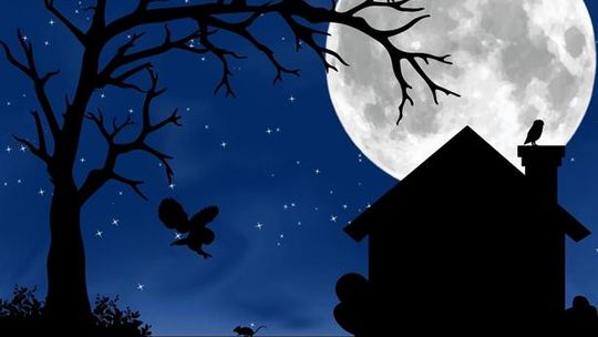 Nocne Pohukiwania 2026