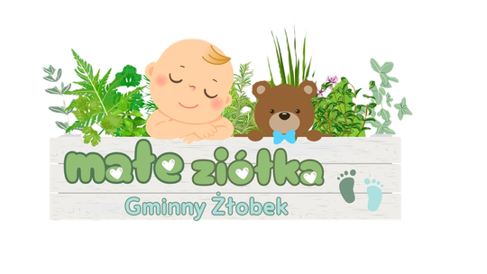 Rusza rekrutacja do Gminnego Żłobka "Małe Ziółka" w Boniewie