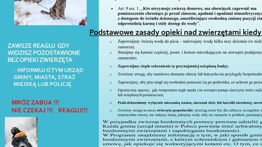 Zadbajmy w zimie o zwierzęta!