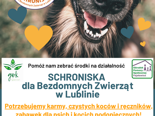 Plakat informuje o zbiórce dla SCHRONISKA dla Bezdobnych Zwierząt w Lublinie, która rozpoczyna się