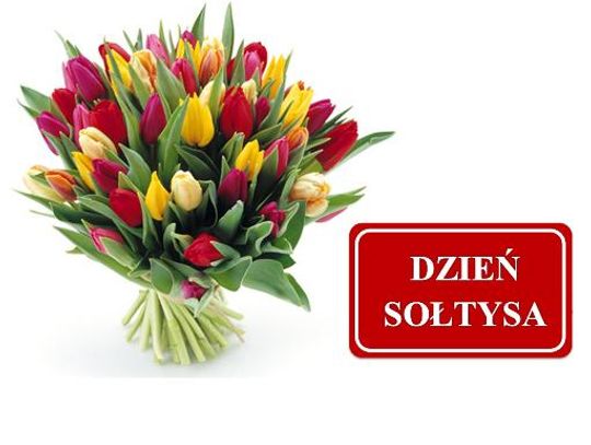 Drodzy Sołtysi