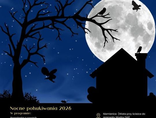 Nocne Pohukiwania 2026