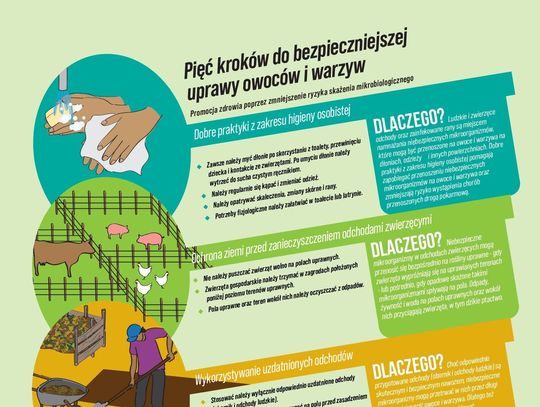 UWAGA  PRODUCENCI PRODUKCJI PIERWOTNEJ