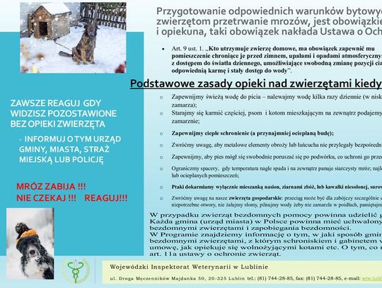 Zadbajmy w zimie o zwierzęta! Zadbajmy w zimie o zwierzęta!