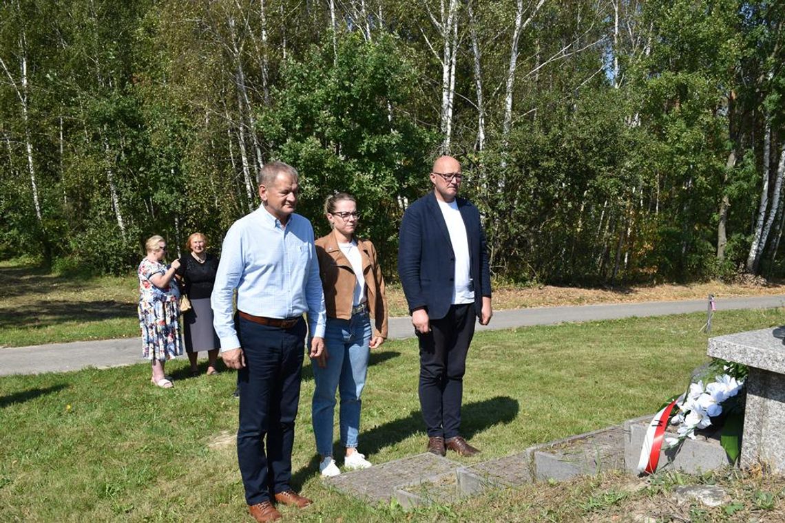 Zdjęcie przedstawia