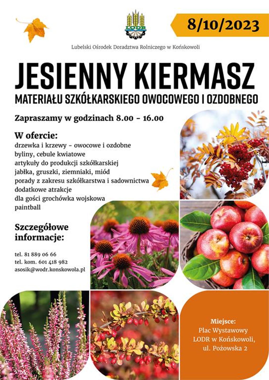 Plakat informuje o Jesiennym Kiermaszu, który odbędzie się 8 października 2023r., w godzinach 8:00-16:00, na Placu Wystawowym LODR w Końskowoli