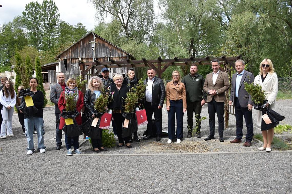 Zdjęcie przedstawia przekazanie jubileuszowych sadzonek buków zwyczajnych delegacjom gmin z terenu powiatu krasnostawskiego, które odbyło się 8 maja 2025r. na skwerze przy Gminnym Ośrodku Kultury w Fajsławicach