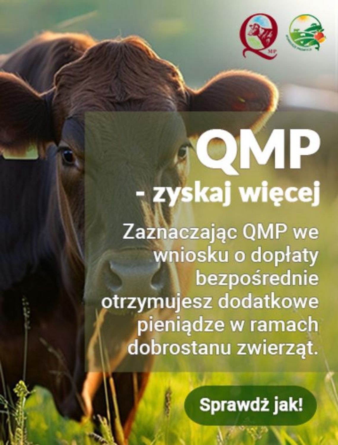 INFORMACJA DLA ROLNIKÓW UTRZYMUJĄCYCH BYDŁO