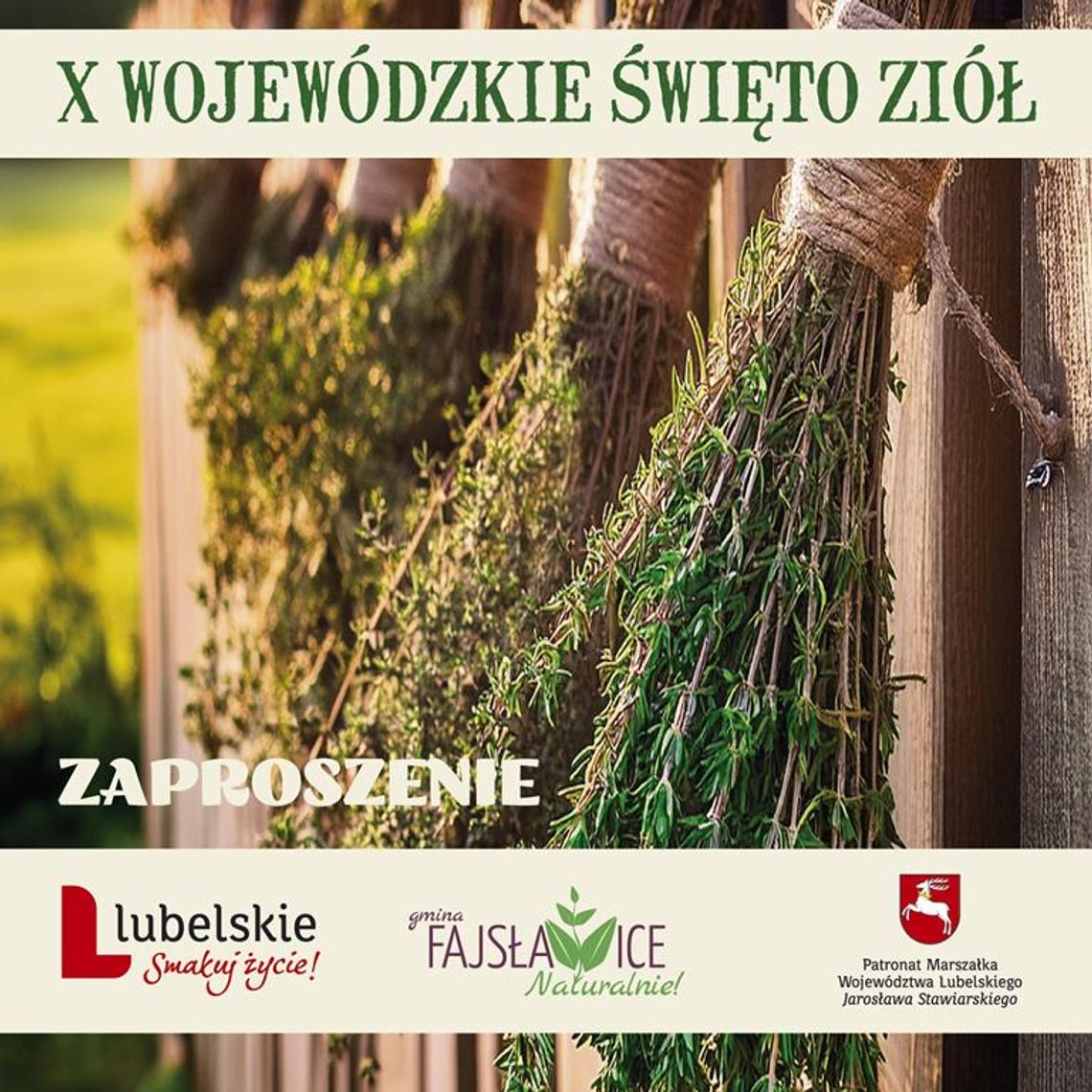 Grafika przedstawia zaproszenie na X Wojewódzkie Święto Ziół, które odbędzie się 15 sierpnia 2024r. w Gminie Fajsławice