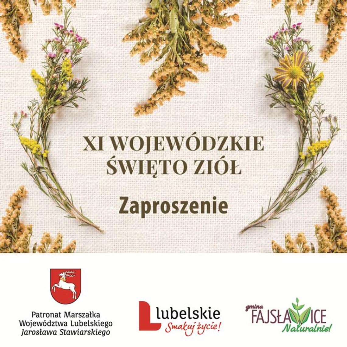 TO JUŻ JUTRO – XI WOJEWÓDZKIE ŚWIĘTO ZIÓŁ