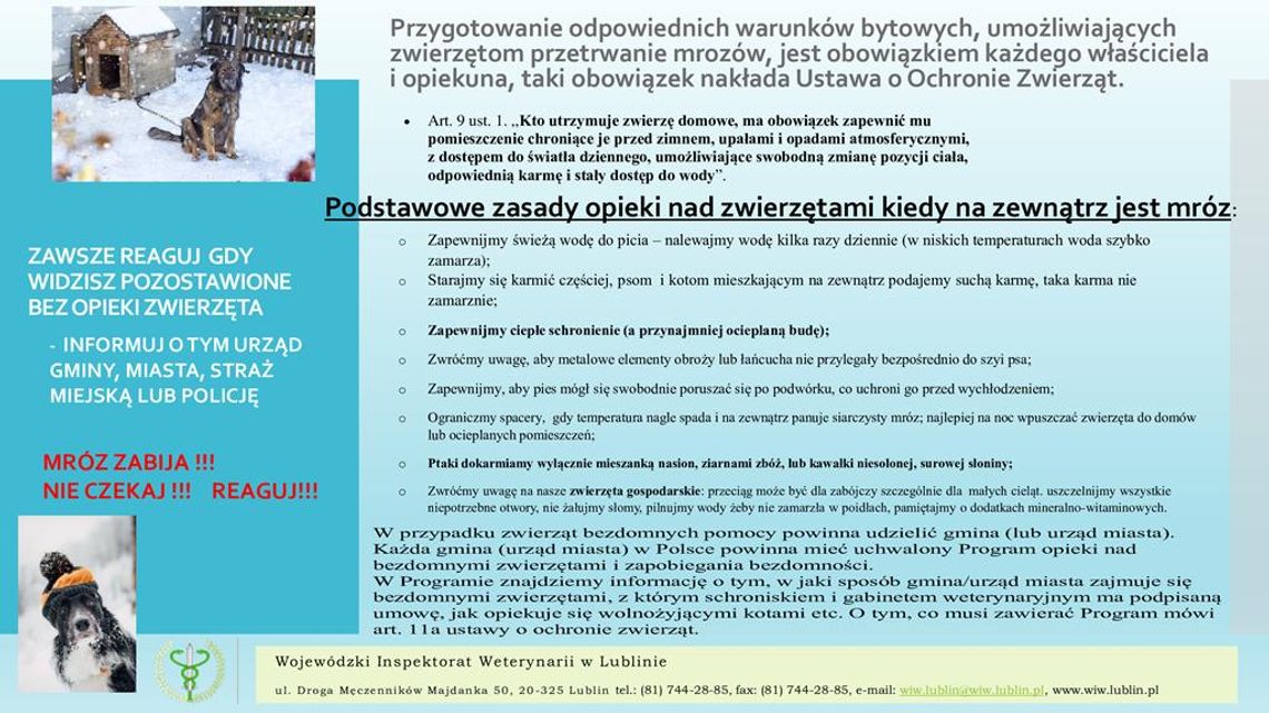 Zadbajmy w zimie o zwierzęta!