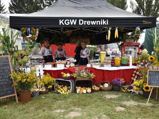 Powiatowe Święto Plonów, 31 sierpnia 2025r., Stadnina Koni w Białce