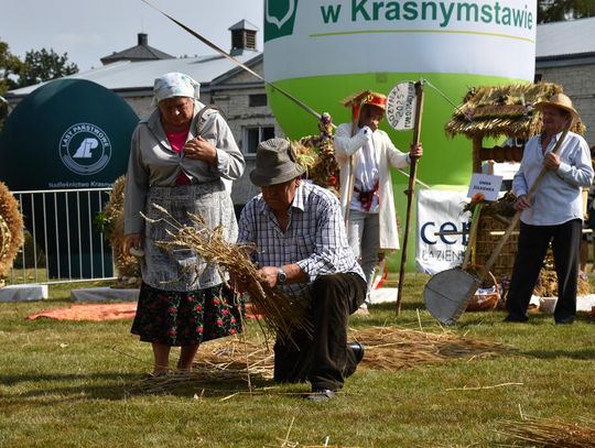 Powiatowe Święto Plonów, 31 sierpnia 2025r., Stadnina Koni w Białce
