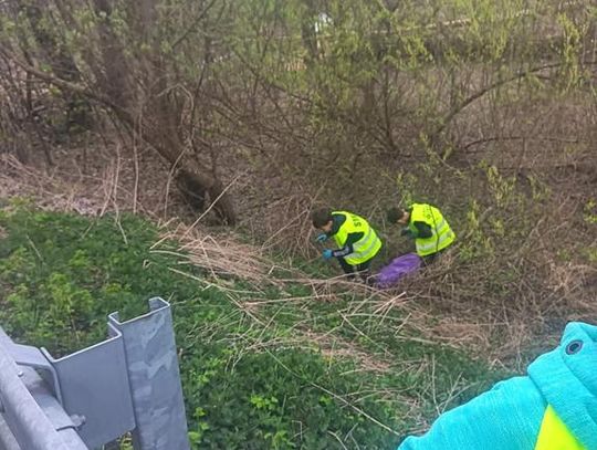 Akcje porządkowe w Gminie Fajsławice