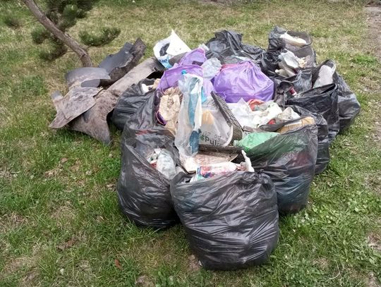 Akcje porządkowe w Gminie Fajsławice